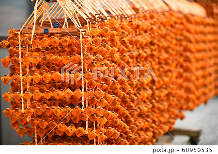 串柿の里 60950535