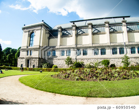 まぶしい日差しの下ブラッセルの石造りの歴史的な建物脇の公園とくつろぐ人々 まぶしい日差しの下ブラッセルの石造りの歴史的な建物脇の公園とくつろぐ人々 60950540