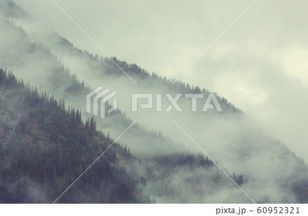 Fog in the mountains 60952321