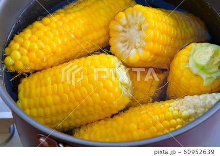トウモロコシ（イメージ） 60952639