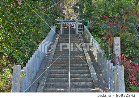 【三都神社】 大阪府大阪狭山市今熊 60952842