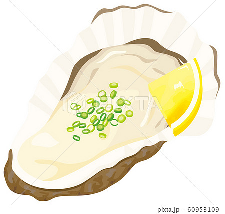 生ガキ 生ガキ 60953109