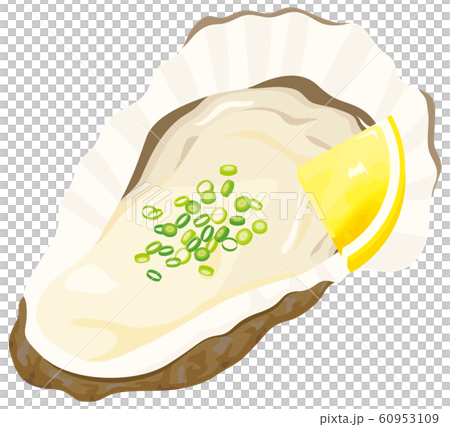 生ガキ 生ガキ 60953109