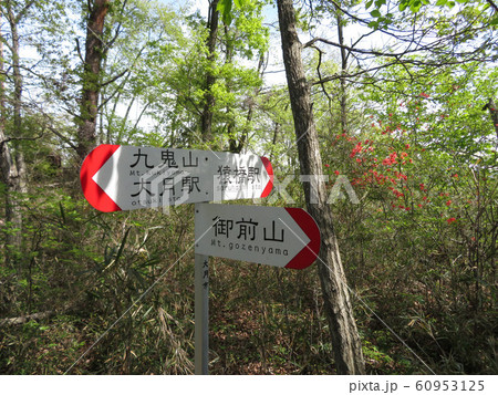 九鬼山分岐 九鬼山分岐 60953125