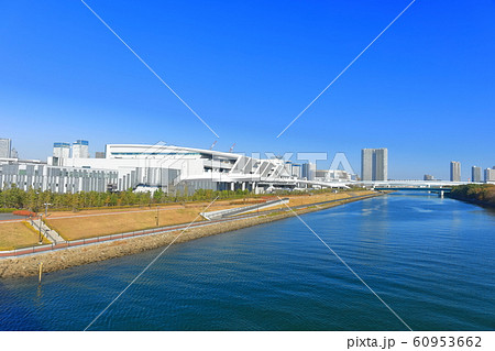 【東京都】晴天下の豊洲市場　水産卸売場 60953662