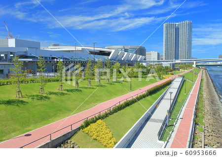 【東京都】晴天下の豊洲市場 青果市場 【東京都】晴天下の豊洲市場 青果市場 60953666