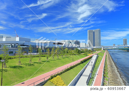 【東京都】晴天下の豊洲市場　青果市場 60953667