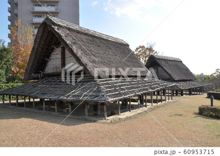 新池埴輪製作遺跡ハニワ工場公園 60953715
