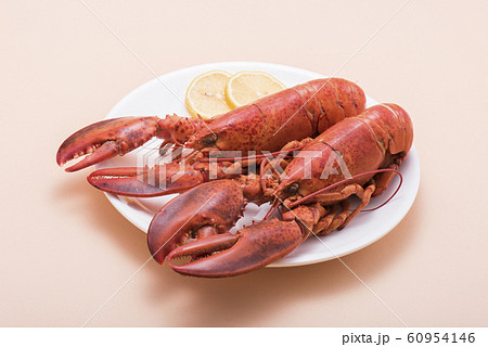 オマールエビ 60954146