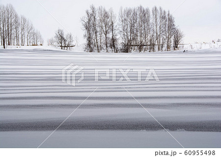 融雪剤がまかれた雪の畑 60955498