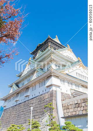 紅葉の大阪城・天守閣 60956015