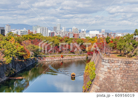 紅葉の大阪城の堀越しに見るビル街 紅葉の大阪城の堀越しに見るビル街 60956019