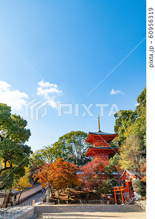 神戸・紅葉の須磨寺・三重塔 60956319