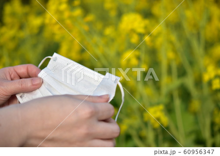 花粉症 春の写真素材