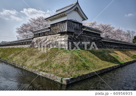 勝竜寺城址と桜 勝竜寺城址と桜 60956935