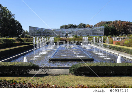 【東京都】神代植物公園　ばら園 60957115