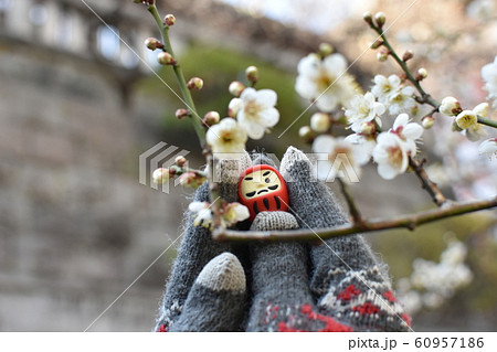 合格祈願 | 風景 60957186