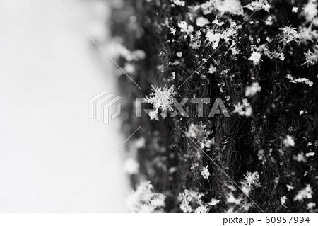 雪の結晶 60957994
