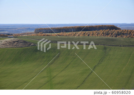 開陽台から 開陽台から 60958020