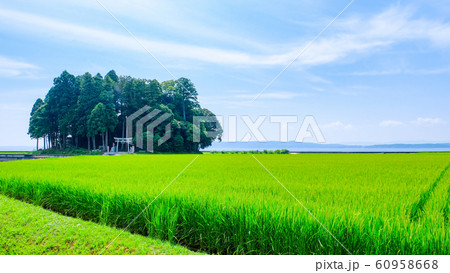 鹿島神社 （能登） 60958668