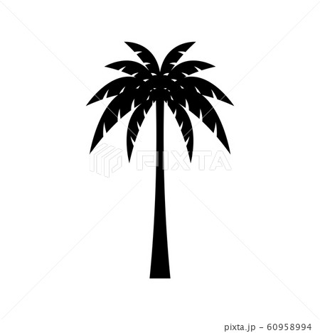 Palm tree silhouette vector image. Palm tree silhouette vector image. 60958994