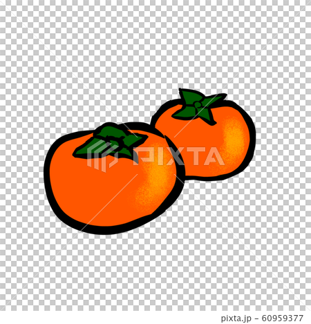 Persimmon illustration cut illustration Persimmon illustration cut illustration 60959377