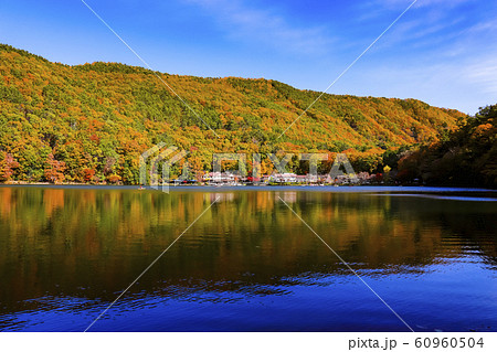 【山梨県】紅葉の四尾連湖 60960504