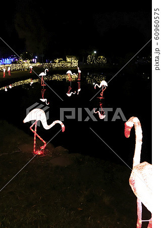 光の祭典　元渕江公園　足立区保木間 60960575