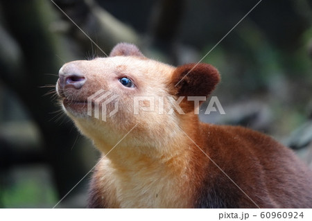 何処見てるのかな？？？？ 60960924