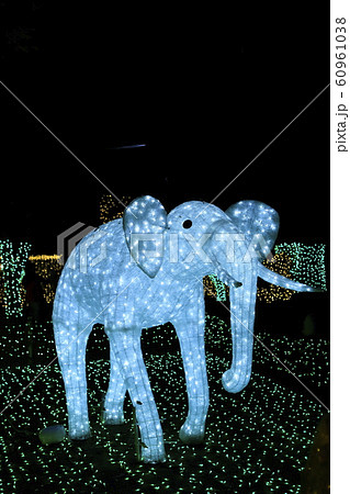 光の祭典 元渕江公園 足立区保木間 光の祭典 元渕江公園 足立区保木間 60961038
