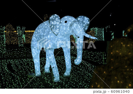 光の祭典 元渕江公園 足立区保木間 光の祭典 元渕江公園 足立区保木間 60961040
