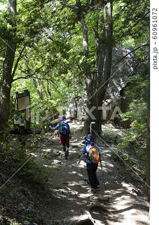 棒ノ折山 棒ノ折山 60961072