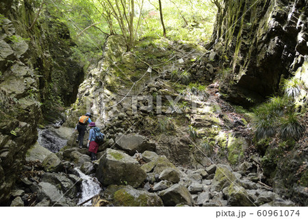 棒ノ折山 棒ノ折山 60961074