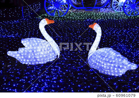 光の祭典　元渕江公園　足立区保木間　　　 60961079