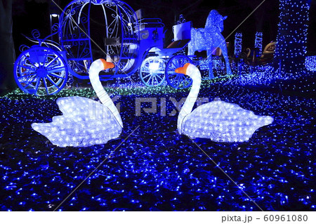 光の祭典 元渕江公園 足立区保木間 光の祭典 元渕江公園 足立区保木間 60961080