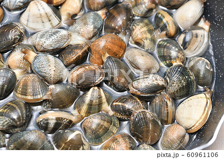 国産アサリの砂出し、下処理。フライパンに塩水を入れ、浅蜊を浸し、砂出しをさせます。 国産アサリの砂出し、下処理。フライパンに塩水を入れ、浅蜊を浸し、砂出しをさせます。 60961106
