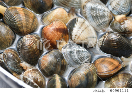 国産アサリの砂出し、下処理。フライパンに塩水を入れ、浅蜊を浸し、砂出しをさせます。 60961111