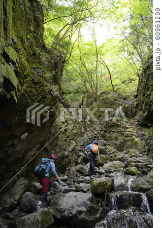 棒ノ折山 棒ノ折山 60961299