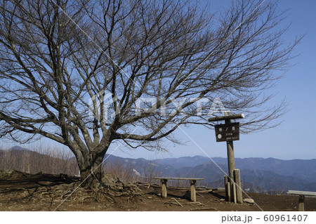 棒ノ折山 60961407