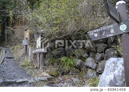 棒ノ折山 60961408