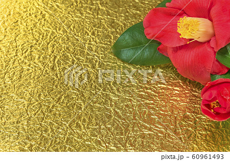 冬のバラとも呼ばれるツバキの花と金箔の紙のグリーティングカード。 60961493
