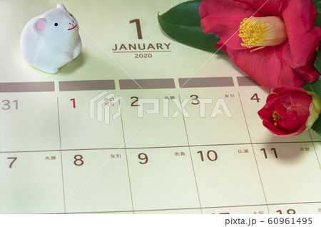 冬のバラとも呼ばれるツバキの花と1月のページで開いている日本のカレンダーの上に立つ２０２０年の干支の 60961495