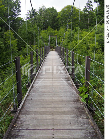 尾瀬裏燧橋 60961680