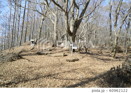 サオラ峠 サオラ峠 60962122
