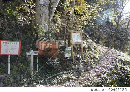 丹波天平 60962126