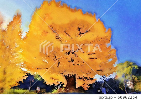 北の丸公園の大イチョウの紅葉(12月)東京都千代田区 北の丸公園の大イチョウの紅葉(12月)東京都千代田区 60962254