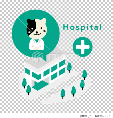 Cat teacher _ Liberal Arts Business Medical Education Illustration 60962292