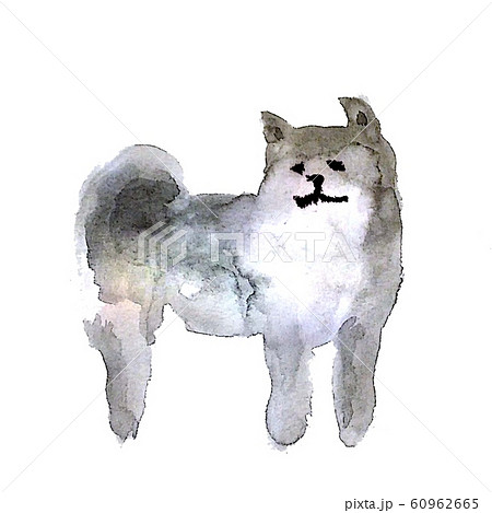 犬 水墨画のイラスト素材