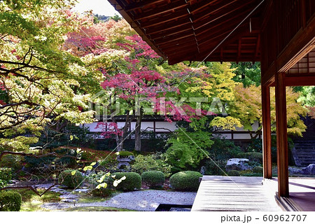 京都・泉涌寺 御座所庭園 京都・泉涌寺 御座所庭園 60962707