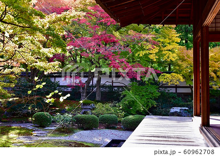 京都・泉涌寺　御座所庭園 60962708